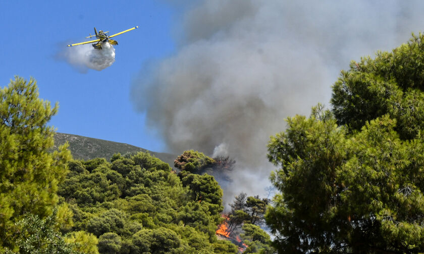 Αχαΐα: Σύλληψη άνδρα με την κατηγορία για εμπρησμό από αμέλεια