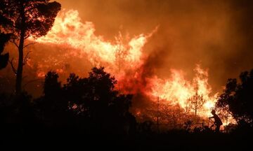 Παλλήνη: Από τους 23 στους 38 βαθμούς Κελσίου η θερμοκρασία στην Παλλήνη μέσα σε μισή ώρα