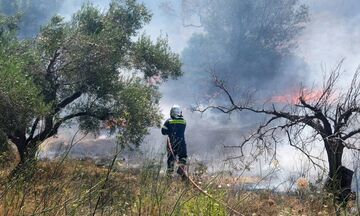 Τρία καμένα σπίτια στα Μέγαρα, υπό μερικό έλεγχο η φωτιά στο Μαρκόπουλο