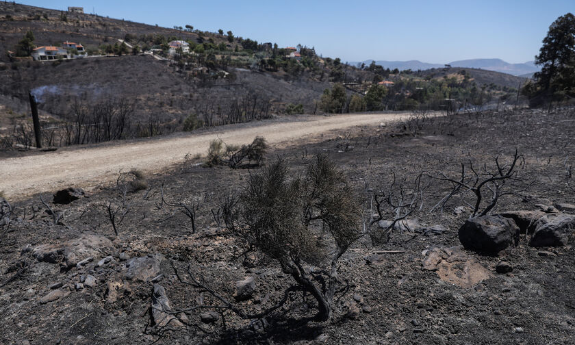 «Στάχτη» 20.350 στρέμματα στην Πεντέλη- Το σενάριο του εμπρησμού και η επόμενη ημέρα