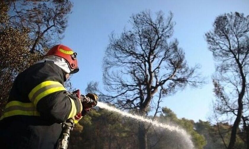 Φωτιά στην Ηλεία: Επιχειρούν επίγειες και εναέριες δυνάμεις