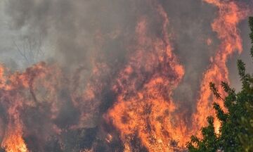 Ηλεία: Ενισχύθηκαν οι πυροσβεστικές δυνάμεις στα Άγναντα - Φωτιά και στη Βάρδα