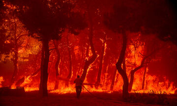 Τιτάνιες προσπάθειες στο δάσος της Δαδιάς, κάηκαν σπίτια στη Λέσβο – Φωτιά και στη Μεσσηνία