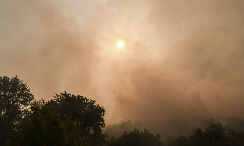 Αλιβέρι: Τέσσερις εμπρησμούς ομολόγησε ο 62χρονος