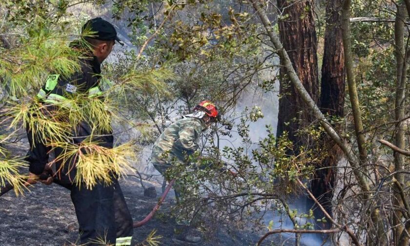 Πυροσβεστική: Στη Δαδιά οι επιχειρήσεις επικεντρώνονται στο ενεργό νοτιοδυτικό μέτωπο