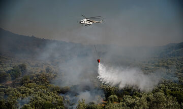Πυρκαγιά στο Δίστομο: Δύο μεγάλα μέτωπα - Δεν απειλούνται προς το παρόν κατοικημένες περιοχές
