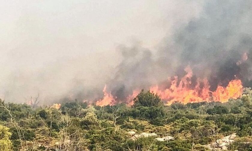 40 δασικές πυρκαγιές το τελευταίο 24ωρο 