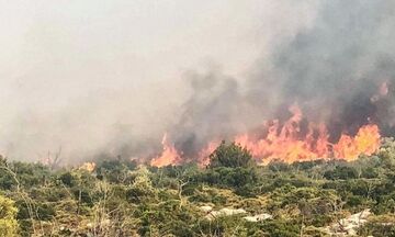 40 δασικές πυρκαγιές το τελευταίο 24ωρο 