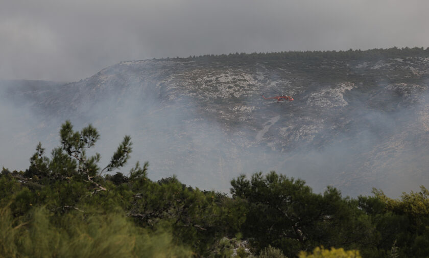 Πυρκαγιά Ηλεία: Μαίνεται σε δασική έκταση στην περιοχή Λυνίσταινα