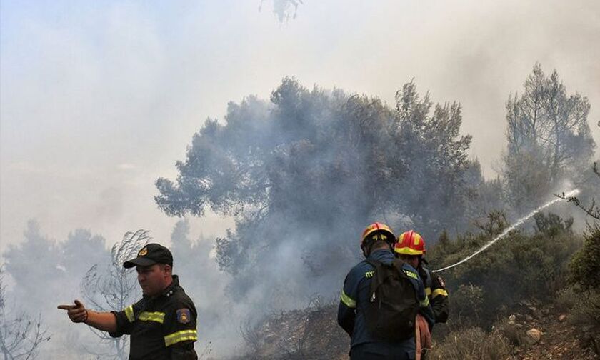 Φωτιά τώρα στη Μεσσηνία – Ενεργοποιήθηκε το 112