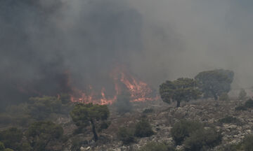 Εύβοια: Σε τρία μέτωπα η πυρκαγιά, πυκνός καπνός στη Χαλκίδα - Αναζητούνται ύποπτοι για εμπρησμό