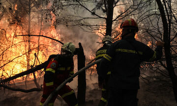 Άγιο Όρος: Τεράστια μάχη με τις φλόγες - Καλύτερη η εικόνα της πυρκαγιάς στη Χαλκίδα