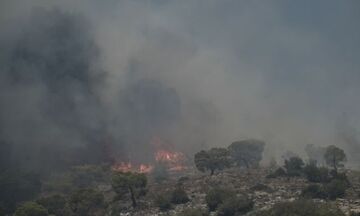 Φωτιές: Σε εξέλιξη στην Κάρυστο - Οριοθετημένες σε Κέρκυρα και Κεφαλονιά