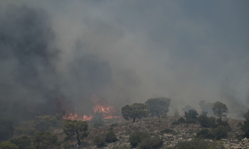Υψηλός κίνδυνος πυρκαγιάς σε Αττική, Στερεά Ελλάδα, Πελοπόννησο και Βόρειο Αιγαίο 