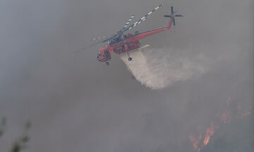 Ηλεία: Φωτιά στην περιοχή της Νεάπολης 