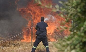 Ασπρόπυργος: Πυρκαγιά στα Νεόκτιστα - Δεν απειλείται κατοικημένη περιοχή