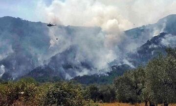 Θάσος: Συνεχίζεται η μάχη με τις φλόγες