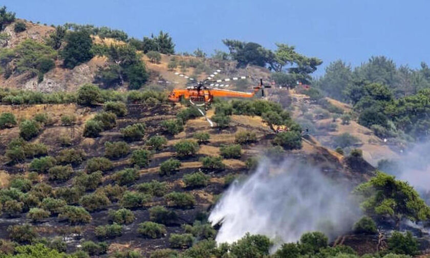 Κρήτη: Φωτιά στη Βιάννο, 83χρονος κατηγορείται για εμπρησμό από αμέλεια