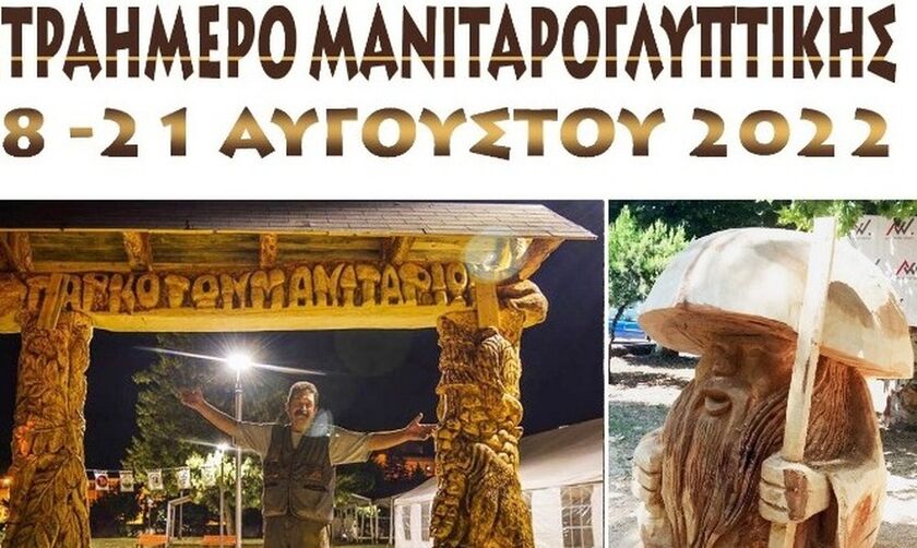 Γρεβενά: Κορμοί δέντρων  έργα τέχνης στην υπαίθρια «μανιταρογλυπτική» με αλυσοπρίονα