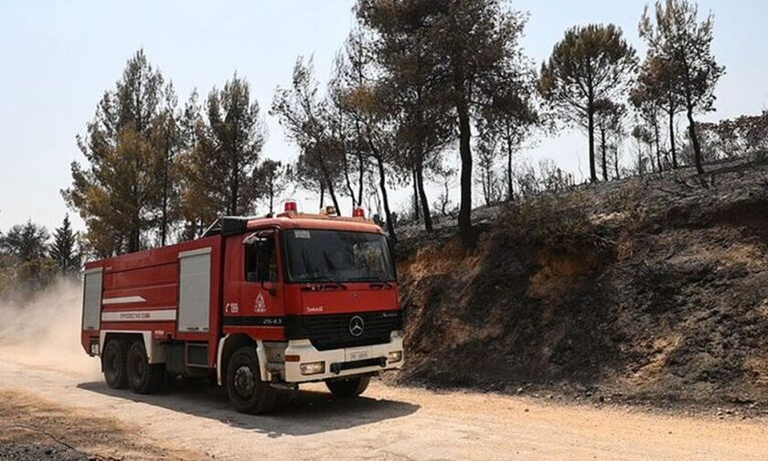 Λαμία: Μάχη με τις φλόγες στην περιοχή Συκά – Ισχυρές επίγειες και εναέριες δυνάμεις στο σημείο