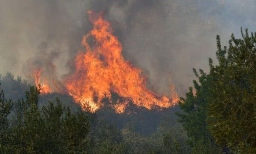 Προφυλακιστέος ο 65χρονος κατηγορούμενος για τη φωτιά στη Θάσο: «Την έβαλα για να γελάω»