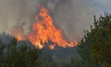 Προφυλακιστέος ο 65χρονος κατηγορούμενος για τη φωτιά στη Θάσο: «Την έβαλα για να γελάω»