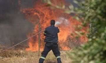 Οριοθετήθηκε η πυρκαγιά στο Σέιχ Σου