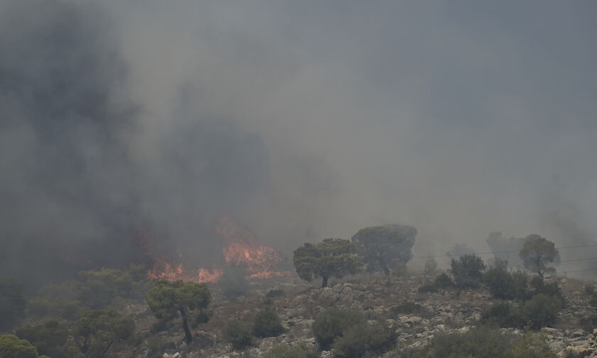 Φωτιά σε Κομοτηνή και Μεσσηνία 