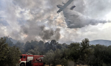 Ξέσπασε φωτιά στην Ηλεία 