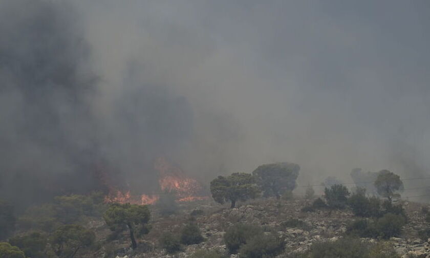 Φωτιά στο Πετροχώρι Μεσσηνίας