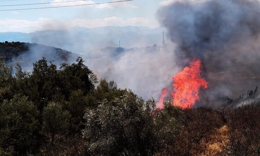 Φωτιά στο Μαρκόπουλο