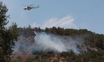 Οριοθετήθηκε η φωτιά στον Μαραθώνα: Σε επιφυλακή η Πυροσβεστική