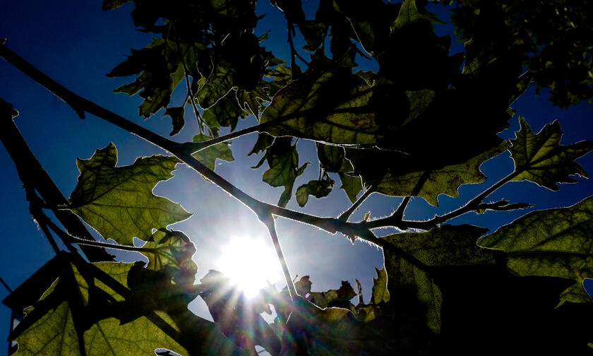 Καιρός: Γενικά αίθριος