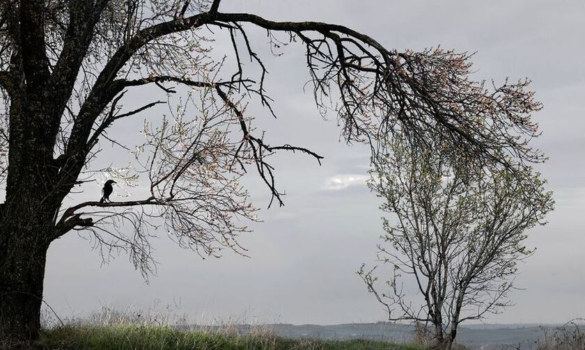 Στράτος Καλαφάτης: Οψόμεθα εις Φιλίππους