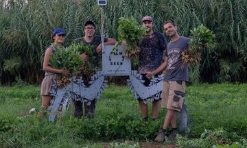 Film Seed Festival: Ένα οικολογικό κινηματογραφικό φεστιβάλ στην Τήνο