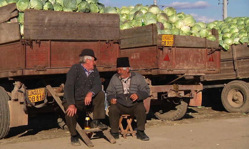 Film Seed Festival στην Τήνο