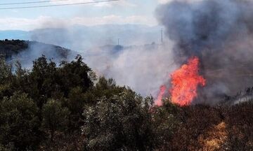 Πυρκαγιά στην Ύδρα: Ενισχύονται οι δυνάμεις - Ισχυροί άνεμοι δυσχεραίνουν την κατάσβεση