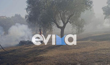 Εύβοια: Πυρκαγιά στην Ερέτρια