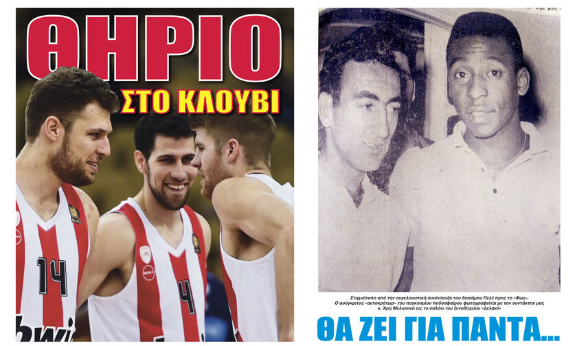 ΘΗΡΙΟ ΣΤΟ ΚΛΟΥΒΙ