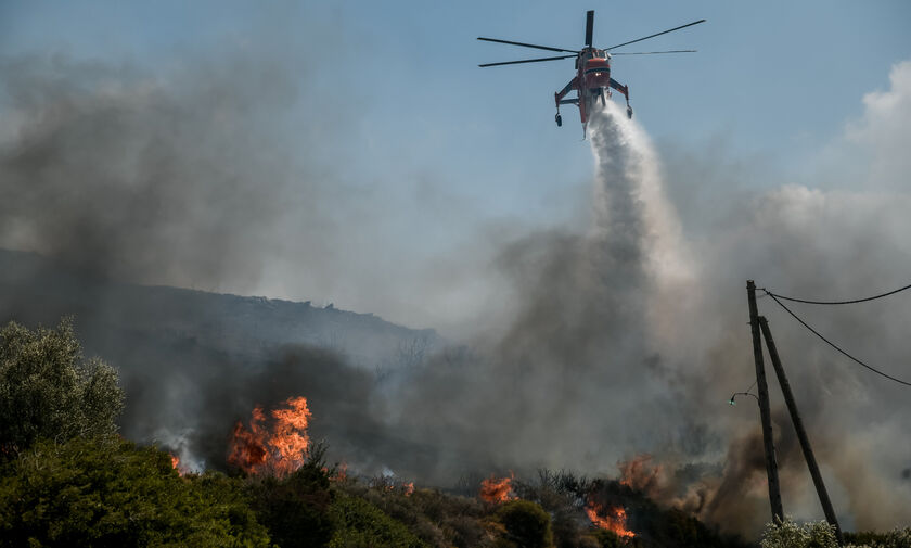 Εύβοια: Ξέσπασε πυρκαγιά στα Ψαχνά - Σε εξέλιξη επιχείρηση της Πυροσβεστικής