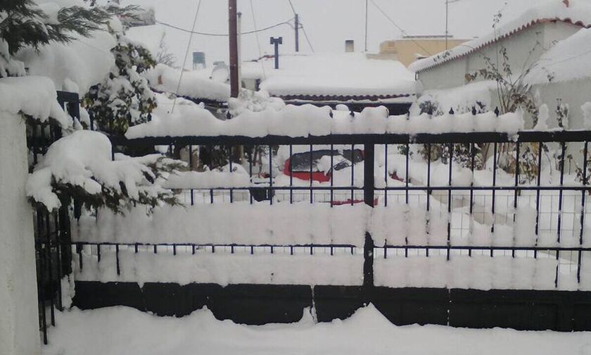 Κακοκαιρία Μπάρμπαρα: Αγνοείται ηλικιωμένος σε χωριό της Εύβοιας «βυθισμένο» στο χιόνι