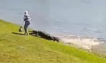 ΗΠΑ: Η στιγμή της θανατηφόρας επίθεσης αλιγάτορα σε 85χρονη στη Φλόριντα (vid)