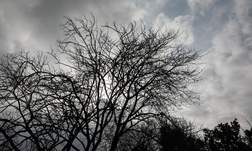 Καιρός: Μικρή πτώση της θερμοκρασίας - Ισχυρές βροχές και καταιγίδες