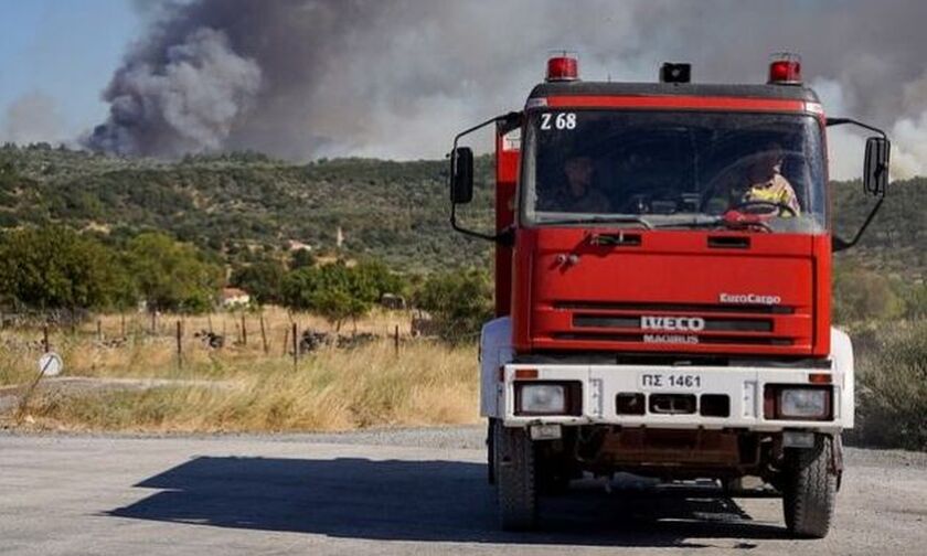 Μέγαρα: Μεγάλη φωτιά σε δασική έκταση