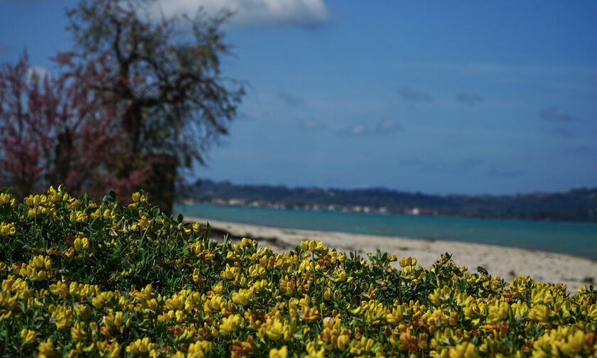 Καιρός: Γενικά αίθριος σε όλη τη χώρα
