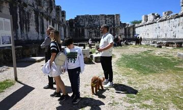 Επιτράπηκαν τα ζώα συντροφιάς σε 120 αρχαιολογικούς χώρους 