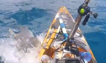 Βίντεο από την τρομακτική επίθεση καρχαρία σε ψαρά στη Χαβάη
