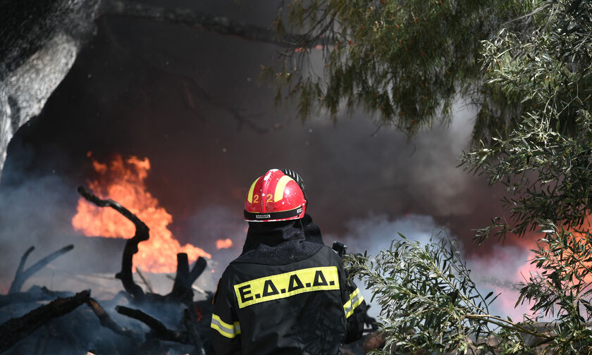 Ρόδος: Μαίνεται η πυρκαγιά - Ενισχύονται οι δυνάμεις πυρόσβεσης