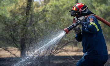 Λουτράκι: Πυρκαγιά σε δασική έκταση - Υπό μερικό έλεγχο η φωτιά στο Άγιο Όρος