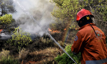 Τέμπη: Φωτιά σε δασική έκταση - Σηκώθηκαν εναέρια μέσα 